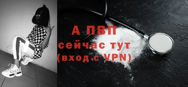 стафф Белокуриха