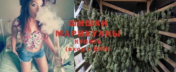 молекула духа Балахна