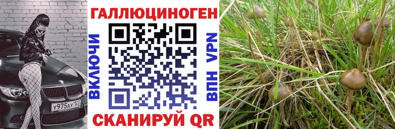 Псилоцибиновые грибы GOLDEN TEACHER Нижние Серги